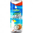 Leite de coco / CG food 325ml